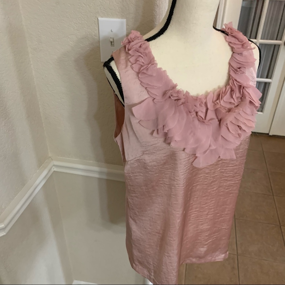 Adiva blush pink ruffled embellished dressy blouse top Size M